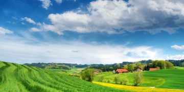 Ezek a talajcsere legfontosabb szabályai