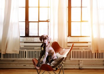 Ezeket érdemes tudnod a klímás fűtésről