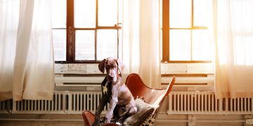 Ezeket érdemes tudnod a klímás fűtésről