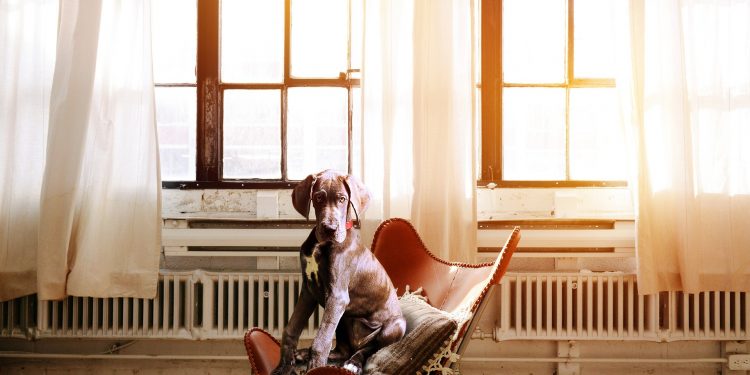 Ezeket érdemes tudnod a klímás fűtésről