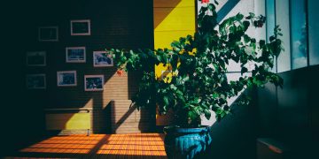 CHIP helyett Matter néven érkezik az okosotthonok világát forradalmasító rendszer