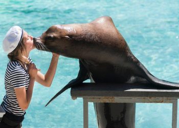 Látnivalók Nyíregyházán