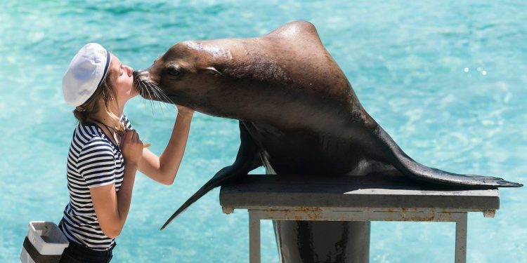 Látnivalók Nyíregyházán