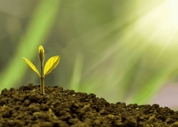 Önkéntes nyugdíjpénztár vagy nyugdíjbiztosítás: Melyik a jobb döntés hosszú távon?