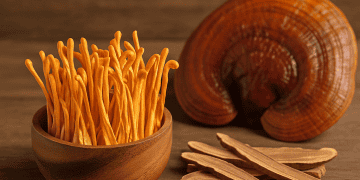 A gyógygombák szerepe a modern táplálkozáskultúrában – hagyományok, trendek és új irányok