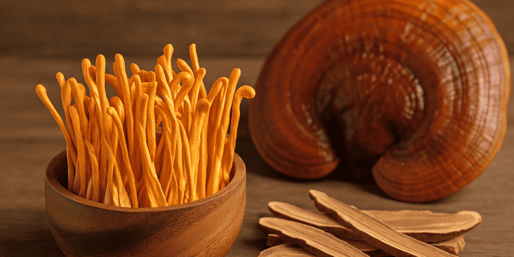 A gyógygombák szerepe a modern táplálkozáskultúrában – hagyományok, trendek és új irányok